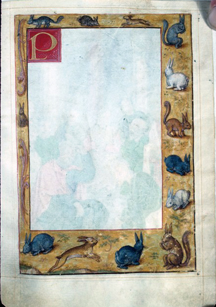 Rabbits and Squirrels in margins, unfinished page of a Book of Hours, Unknown Private Collection, fol. 6r.