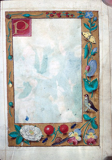 Floreate Border