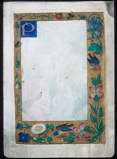 Floreate Border