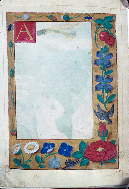 Floreate Border