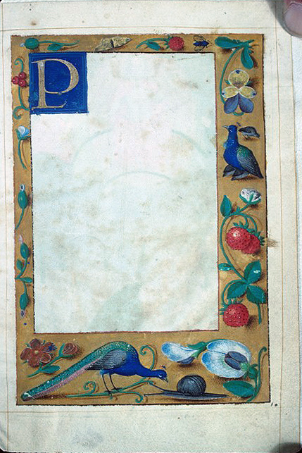 Floreate Border