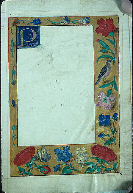 Floreate Border