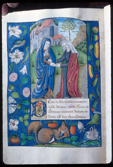 Virgin Mary, Visitation