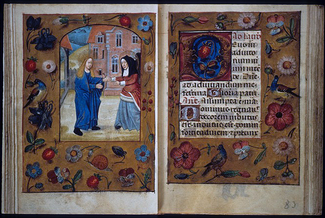 Virgin Mary, Visitation