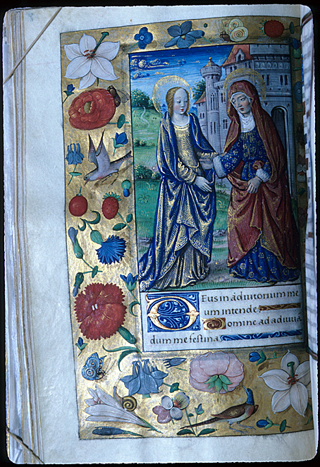 Virgin Mary, Visitation