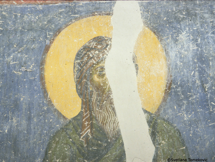 Fresco, detail of north wall, no. 98