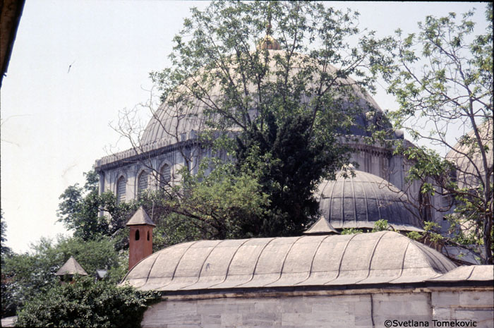 Dome