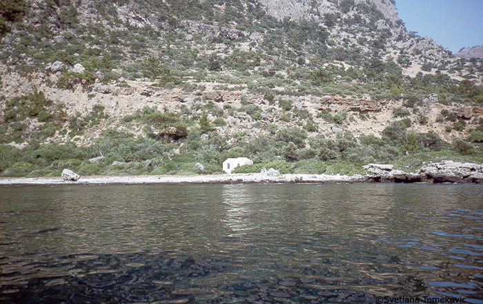 View