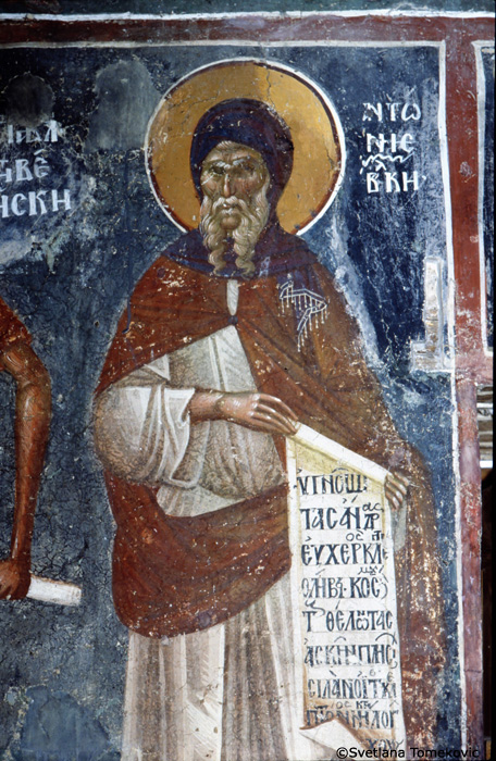 Fresco, wall, west, showing Anthony