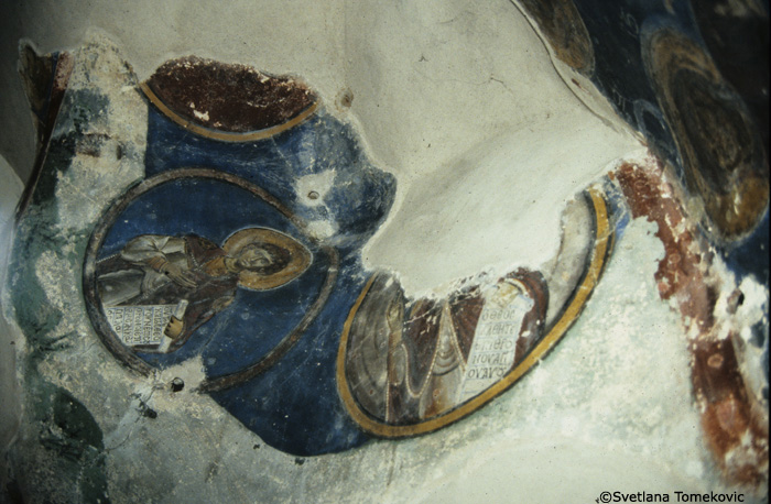 Fresco, cells, vault