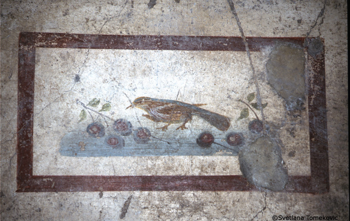 Fresco