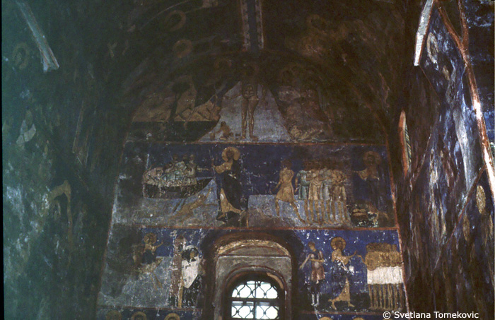 Fresco. South arm. May 1993.