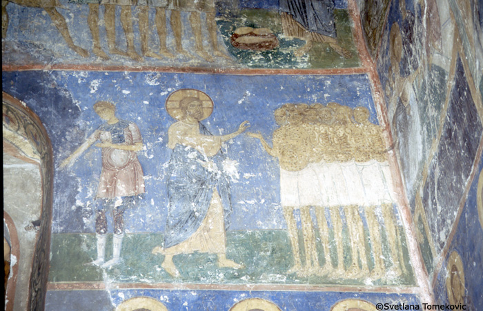 Fresco.  South arm. May 1993.