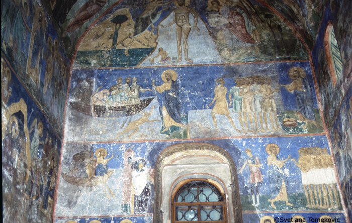 Fresco.  South arm. May 1993.