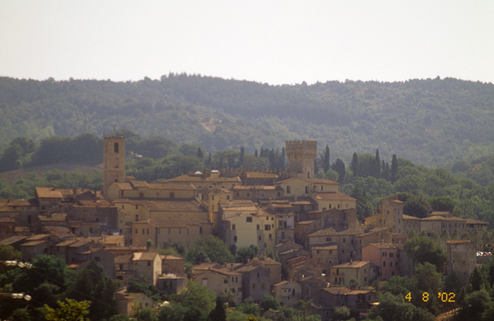 Distant view of village