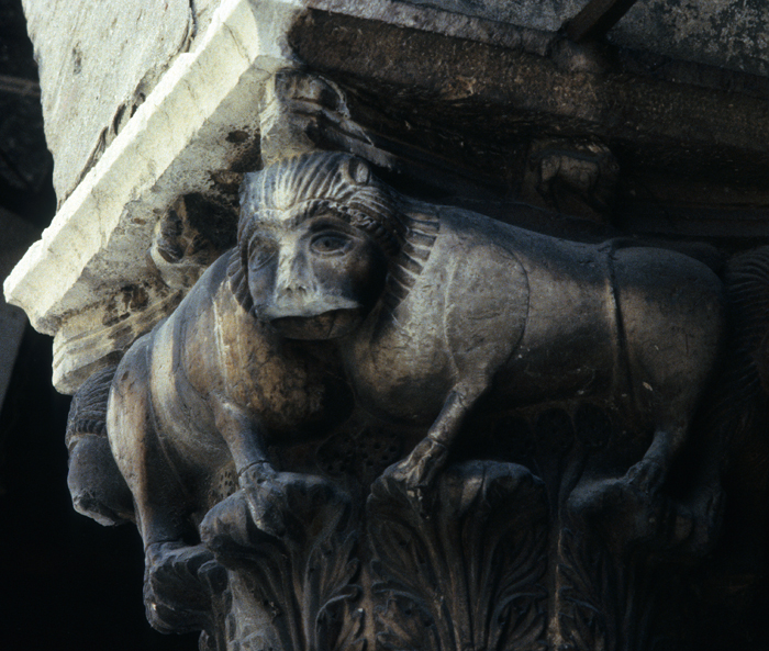 Capital, lion