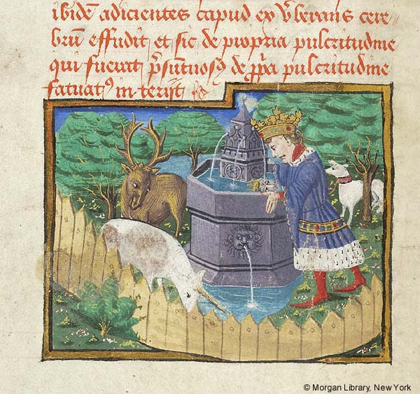 Manuscript detail of king looking into fountain spouting water and surrounded also by unicorn, stag, and dog in fenced enclosure and trees. Four lines of Latin text written in red ink.