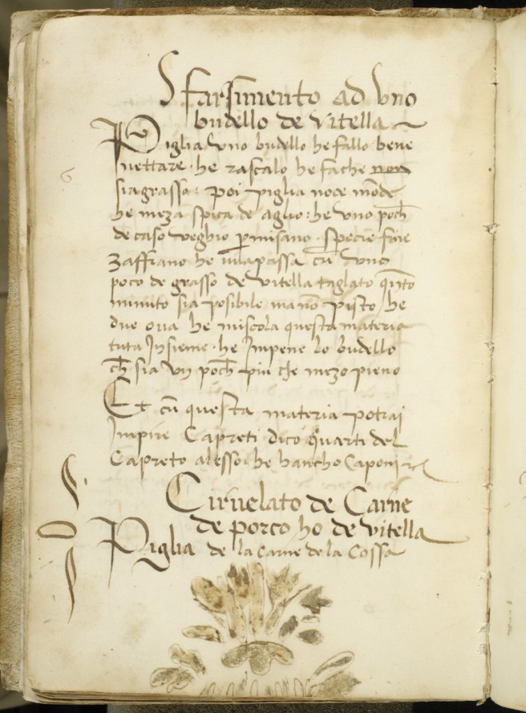 A manuscript page with Italian handwriting in a single column and plants drawn in brown wash in the lower margin.